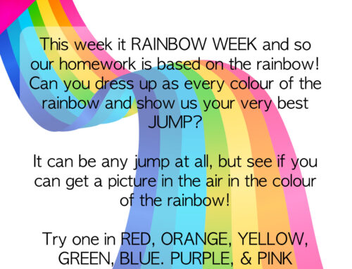 MINI MOVERS HOMEWORK